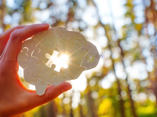 Person holding a cut-out image of brain