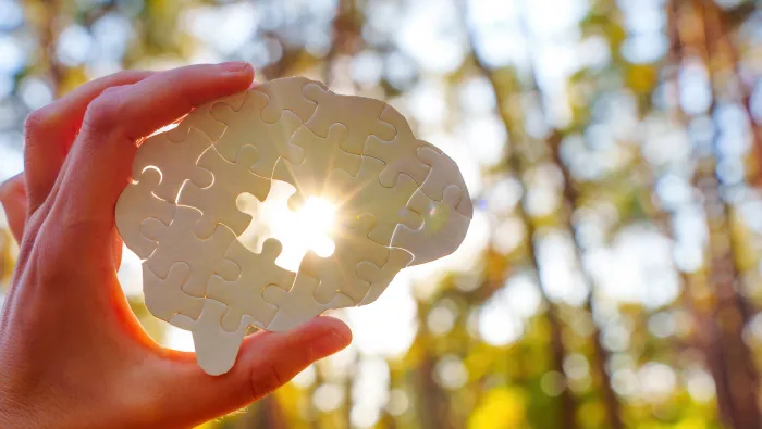 Person holding a cut-out image of brain