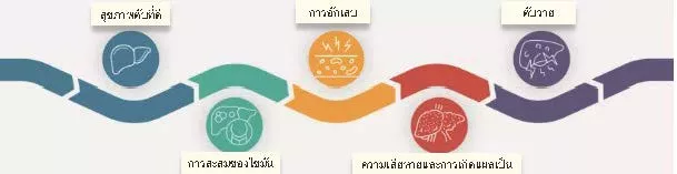 Image to show liver disease