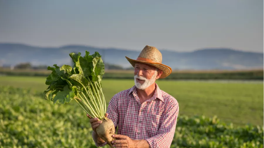 Famer holding beet